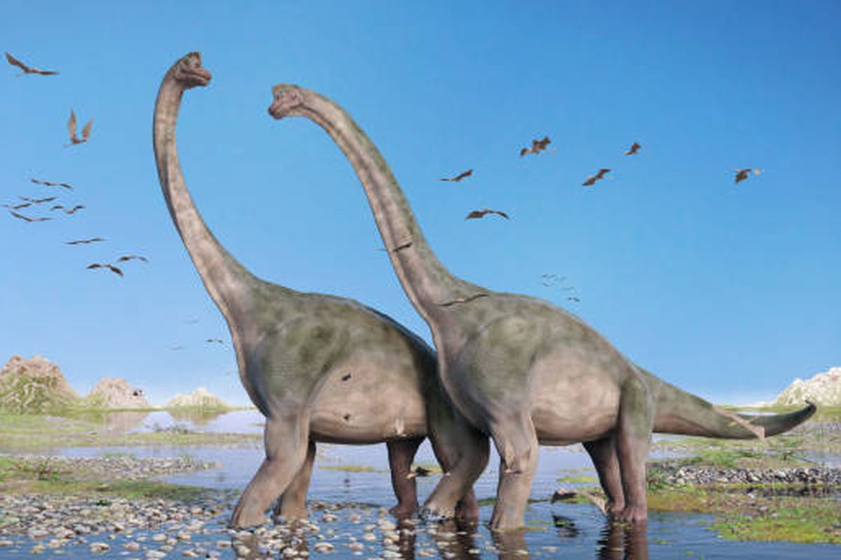 Ilustrasi Brachiosaurus, salah satu dinosaurus berleher panjang.