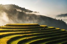 Petani Bali Manfaatkan Eco Enzyme untuk Pertanian Organik, Lebih Hemat dan Ramah Lingkungan