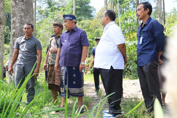 Bupati Jembrana Jembrana I Nengah Tamba penanaman 5000 bibit bambu petung di Kawasan Camping Ground (Mantu Cager) di Desa Manistutu, Kecamatan Melaya, Kamis (21/12/2023).