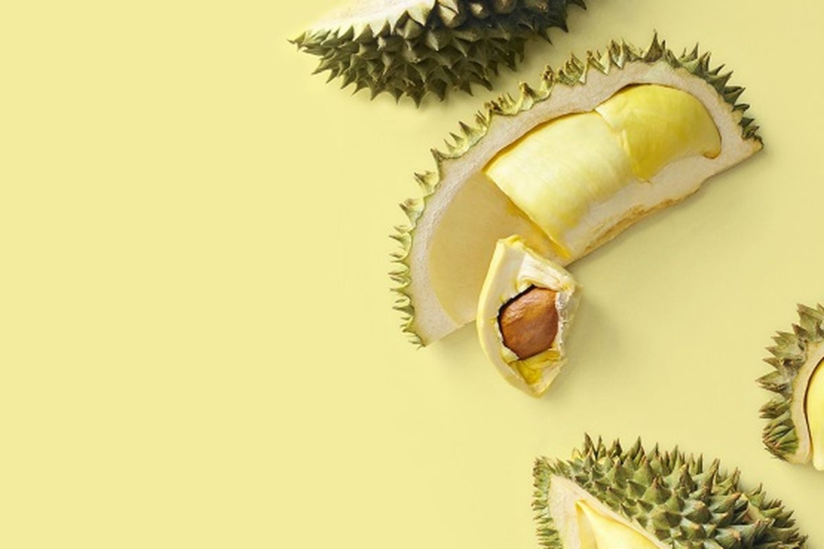 Ilustrasi durian.