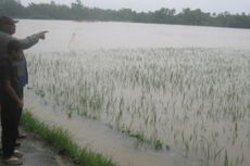 Banjir Terjang Dua Kecamatan di Bireuen, Satu Jembatan Putus