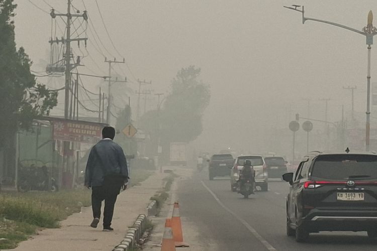 Asap Karhutla Picu 174.694 Kasus ISPA, Ini 5 Kelompok Paling Rentan