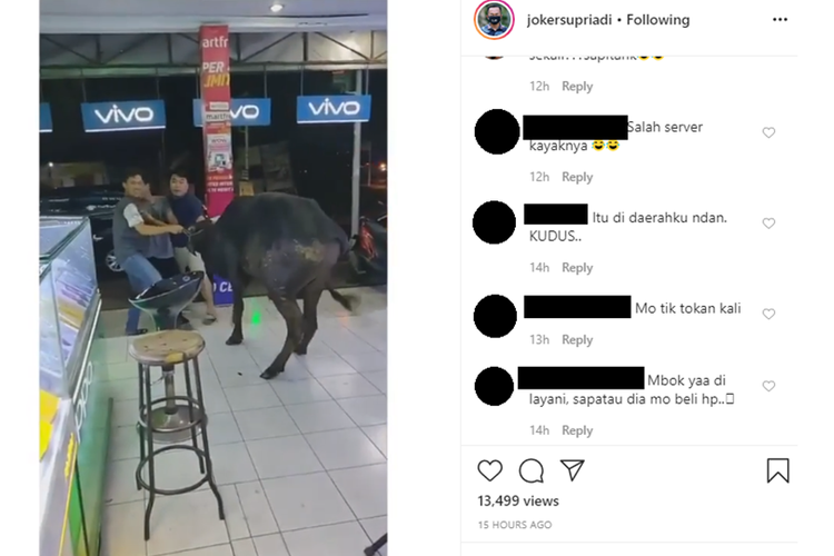 Tangkapan layar unggahan video yang memperlihatkan seekor sapi nampak masuk ke toko telepon seluler di Kudus, Jawa Tengah.