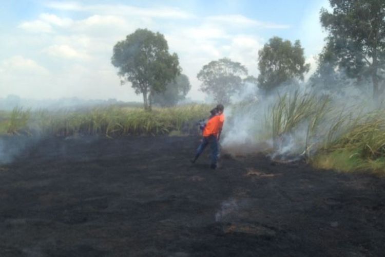 Kebakaran terjadi di jalur pendakian Gunung Rinjani, Lombok, Nusa Tenggara Barat (NTB). 