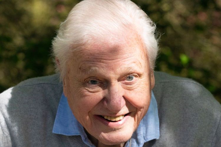 David Attenborough berusia 97 yang masih produktif menggeluti pekerjaannya.