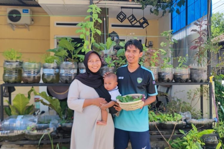 Kebun Mini di Lahan 60 Meter, Cara Rizal Tekan Belanja Dapur hingga 70 Persen