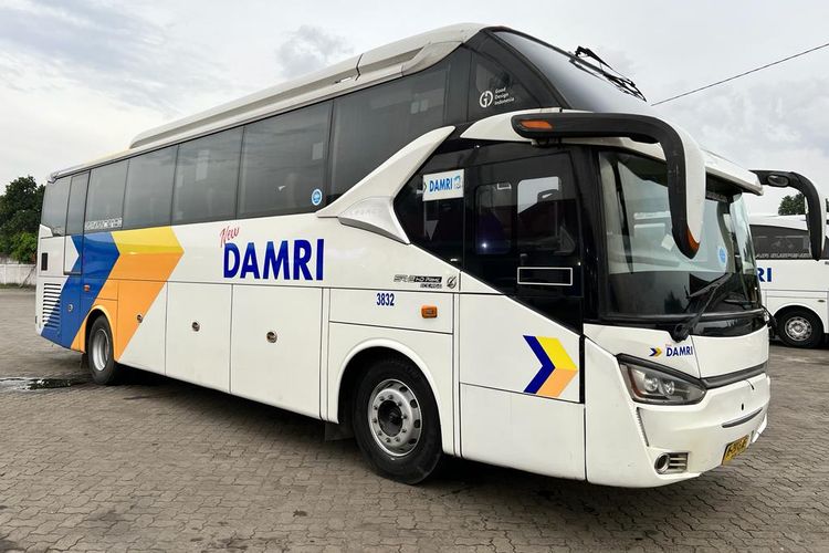 Damri mengoperasikan armada layanan antarkota dalam provinsi (AKDP) dengan rute Terminal Cicaheum (Kota Bandung, Jawa Barat)-Terminal Ciledug (Kabupaten Cirebon, Jawa Barat).