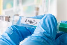 Stok Vaksin Rabies di Buleleng Menipis