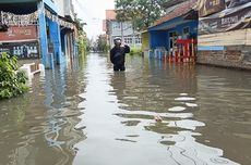 Kebun Kelapa Sawit Tak Bisa Gantikan Fungsi Hutan, Daya Serap Karbon Rendah
