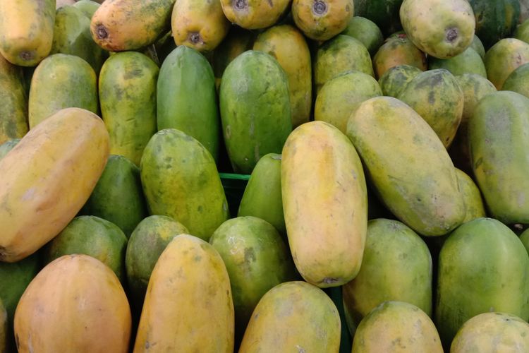 Ilustrasi buah pepaya California. 