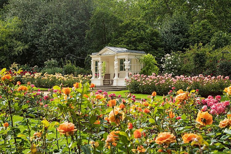 Rose Garden di Istana Buckingham (Photographer: John Campbell | https://www.rct.uk/).