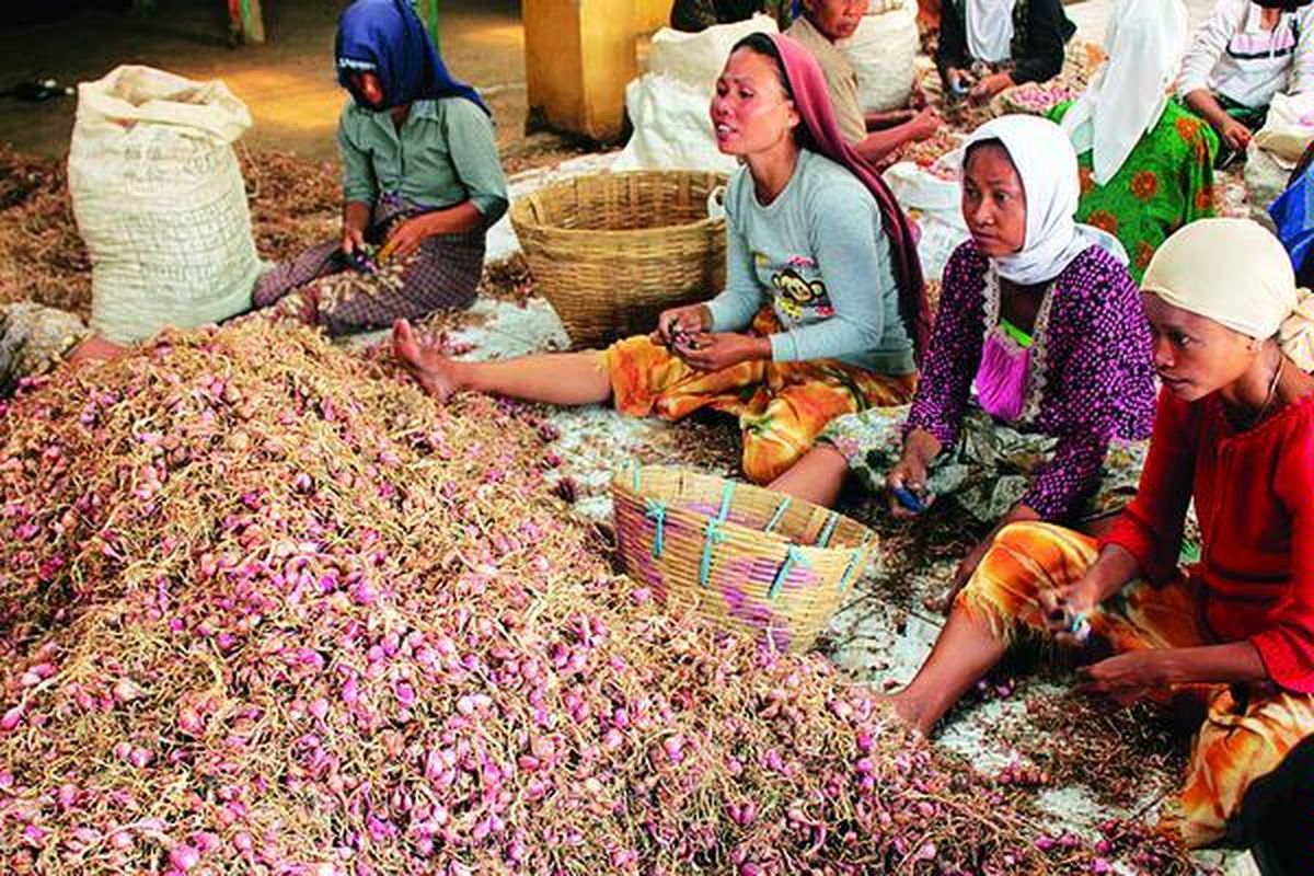 Petani dan pedagang bawang merah di Probolinggo, Jawa Timur,  menolak masuknya bawang merah impor karena menyebabkan harga bawang merah lokal turun. Bawang merah lokal biasanya dipasarkan  Rp 8.000-Rp 10.000 per kilogram. Belakangan, harga bawang merah lokal turun  menjadi Rp 7.000-Rp 8.000 per kilogram, sedangkan harga bawang merah impor hanya Rp 6.000 per kilogram.