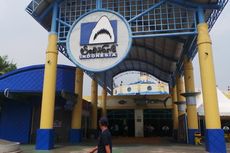 Lippo dan Ancol Berseteru Pengelolaan Sea World