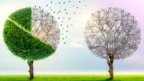 "Green Inflation" dan Ketahanan Energi Indonesia