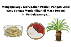 Mengapa Sagu Merupakan Produk Pangan Lokal yang Sangat Menjanjikan di Masa Depan? Ini Penjelasannya....