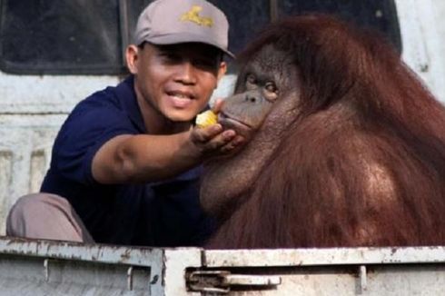 Butuh Rp 90 M untuk Revitalisasi Kebun Binatang Surabaya