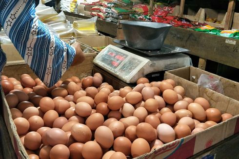Terkena Virus, Produksi Telur Ayam Menurun, Harga Melambung