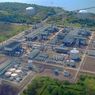 Operator Tangguh LNG Target Rehabilitasi 7.000 Hektar Lahan di Papua Barat
