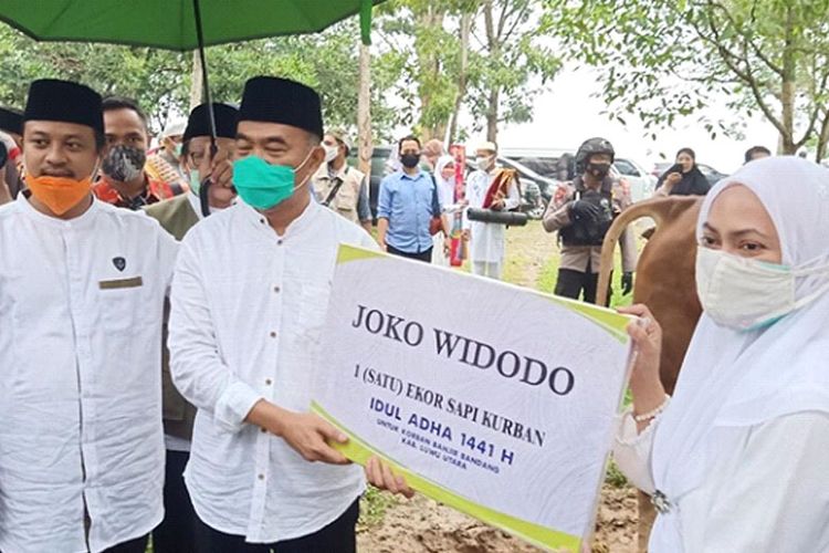 Menko PMK Muhajir Effendi serahkan hewan kurban satu ekor sapi dari Presiden Jokowi kepada Bupati Luwu Utara, Jumat (31/7/2020). 