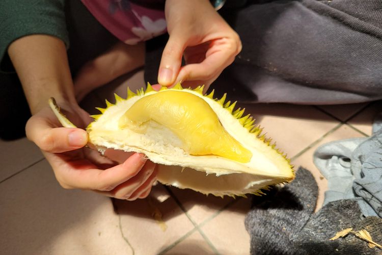 Ilustrasi memilih durian manis dan legit