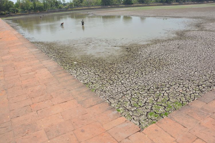 Penampakan Kolam Segaran di Desa Trowulan, Kecamatan Trowulan, Kabupaten Mojokerto, Jawa Timur, Senin (28/10/2019). Sejak 2 bulan lalu, kolam peninggalan masa Majapahit ini mengalami kekeringan.