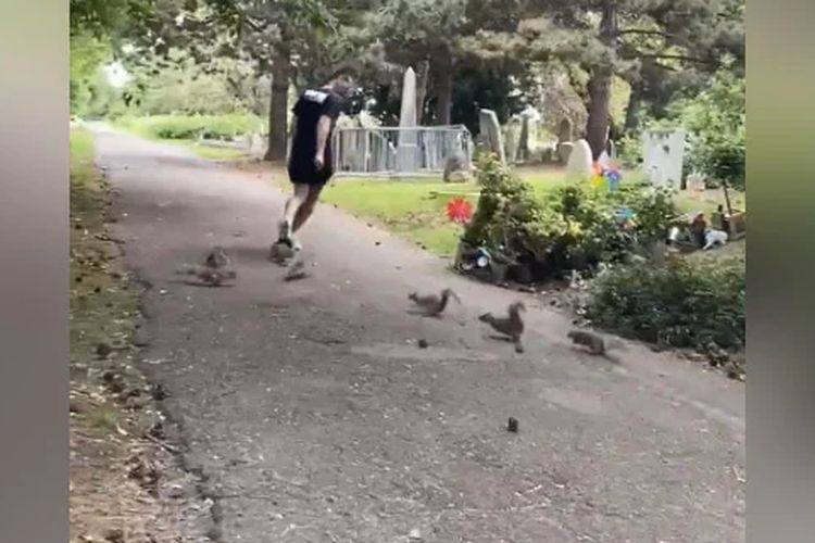 Jogging dikejar tupai dan viral.