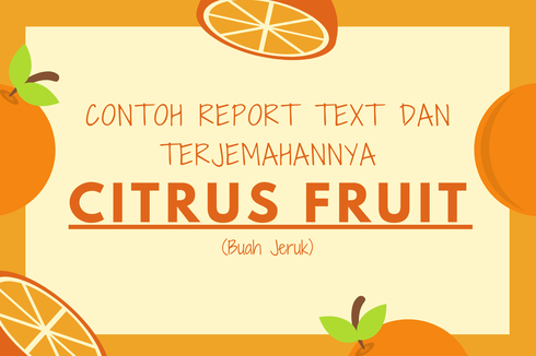 Contoh Report Text tentang Citrus Fruit dan Terjemahannya