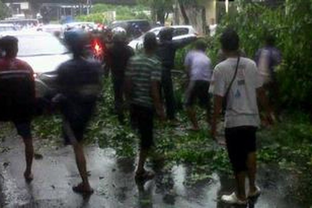 Ilustrasi : Sebuah pohon angsana di Jalan Iskandarsyah, Kebayoran Baru, Jaksel, Jumat (21/12/2012), tumbang dan patah akibat hujan deras yang mengguyur Jakarta pukul 17.00 WIB. Hal ini mengakibatkan kemacetan.