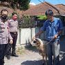 Cerita Yadi Gagal Kurban karena Uangnya Rusak Dimakan Rayap, Kini Dapat Domba dari Polisi