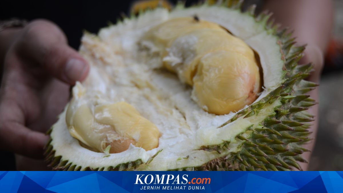 Kenapa Rasa Durian Ada yang Manis dan Pahit?