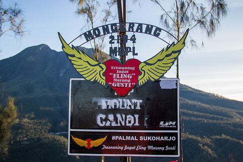 Padang Bunga Ilalang di Bukit Mongkrang, Ternyata Hanya Mekar Sekali