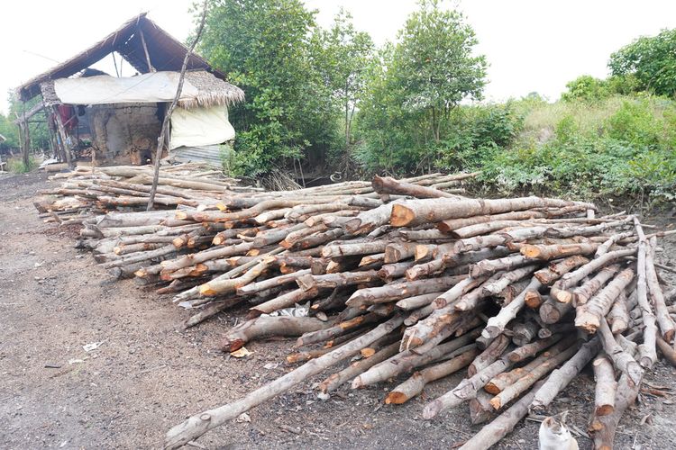 Pengambilan kayu bakau untuk dapur arang terjadi di Kecamatan Pangkalan Susu, Kabupaten Langkat. Perambahan merupakan salah satu ancaman terhadap keberadaan hutan mangrove di kawasan pesisir pantai timur Sumatera.