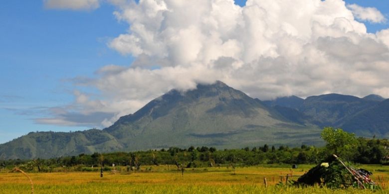 Pegunungan Burni Telong