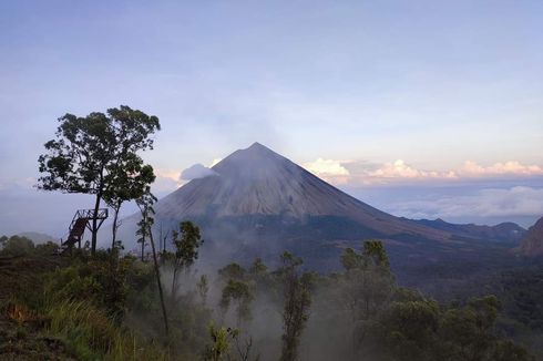 Berburu Momen Matahari Terbit di Bukit Wolobobo yang Penuh Tantangan