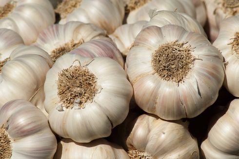 Trik Menyimpan Bawang Putih agar Lebih Awet dan Tidak Cepat Busuk