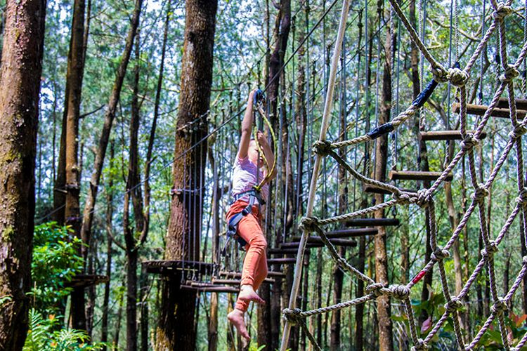 Aktivitas outbound di Kopeng Treetop.