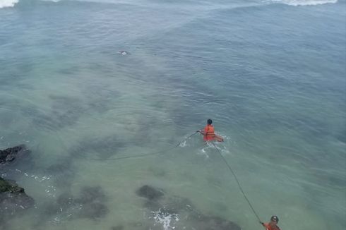 Guru Besar UGM Terseret Ombak Saat Sedang Gelombang Tinggi Capai 6 Meter