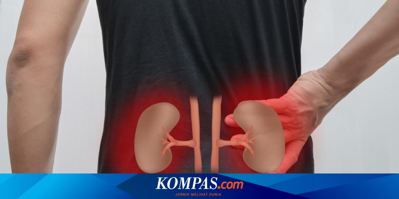 Gagal Ginjal Tak Bisa Kembali Normal Tapi Bisa Diatasi