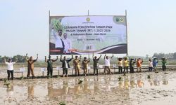 Jaga Ketahanan Pangan, Kementan Percepat Penanaman Padi di Kabupaten Bogor