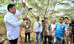Tingkatkan Ekonomi Masyarakat dan Penggunaan EBT, PLN Kembangkan Ekosistem Biomassa