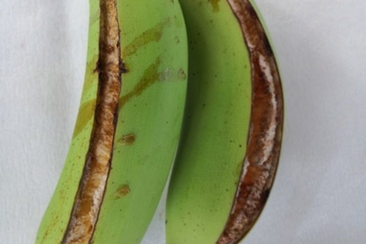 Buah pisang yang kulitnya pecah