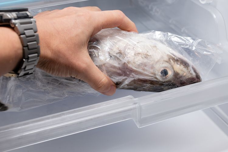 Ilustrasi menyimpan ikan di kulkas. 