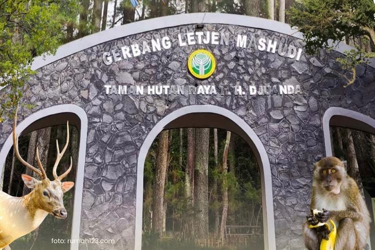 Taman Hutan Raya Ir. H. Djuanda