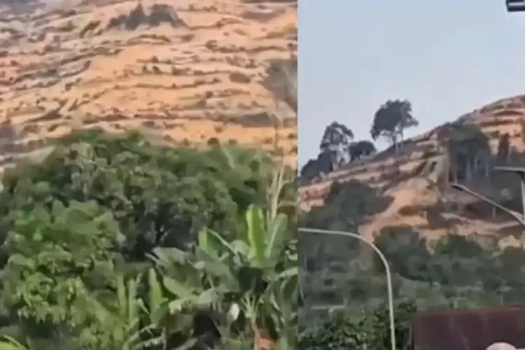 Video Bukit Gundul di Jalur Sumbar-Riau Viral, Diduga Berubah Jadi Kebun Sawit