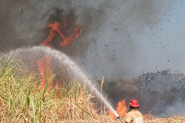 Musim Kemarau, Kebakaran di Kabupaten Kediri Melonjak Dua Kali Lipat