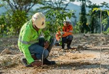 Tegaskan Komitmen ESG, NHM Rehabilitasi 232,69 Ha Lahan Bekas Tambang