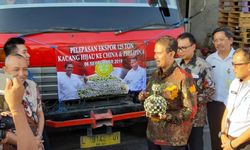 Indonesia Kembali Ekspor Kacang Hijau ke China dan Filipina 