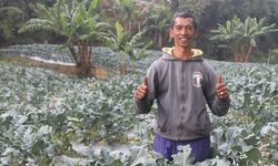 Kisah Amid, Dahulu Pemakai Narkoba, Kini Jadi Petani Berdaya 