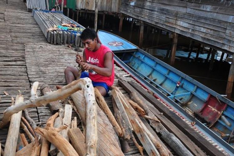 Salah seorang warga bajo di Desa Hakatutobu yang sedang membelah kayu bakar.