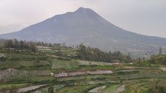 Ramai Rencana Buka Jalur Pendakian Mandiri, TNGM Tegaskan Gunung Merapi Masih Ditutup